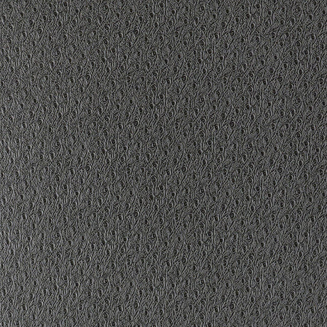 Schumacher Ostrich Graphite Wallpaper - Eade's Wallpaper