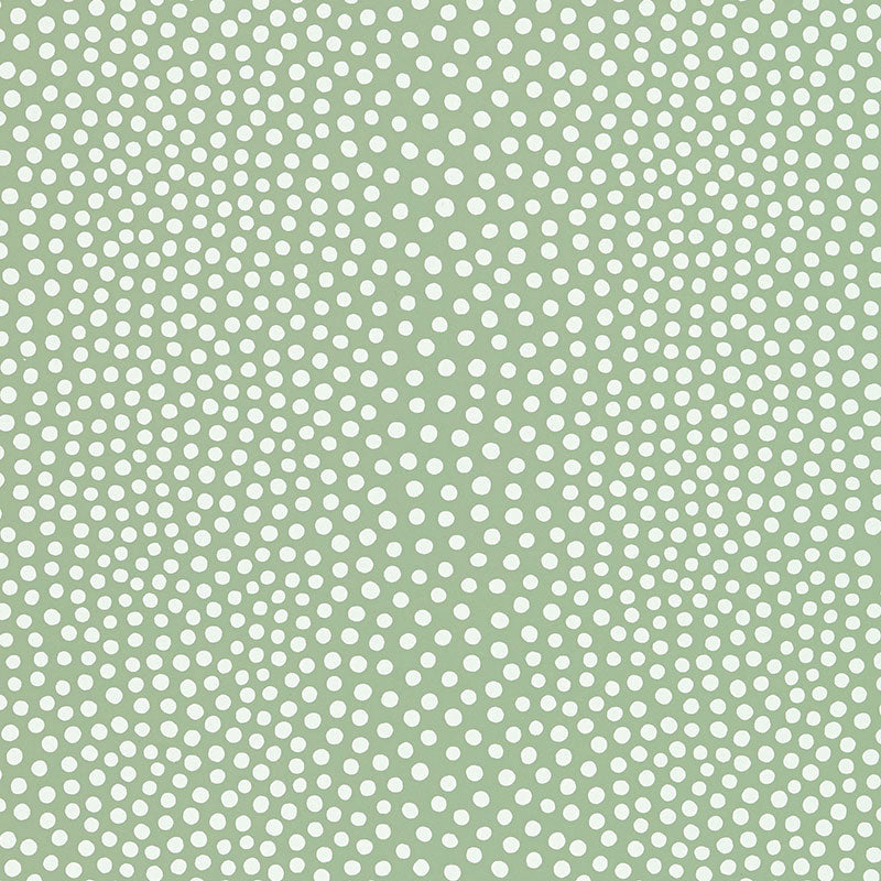 Schumacher Raindots Spring Wallpaper - Eade's Wallpaper