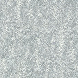 Schumacher Drizzle Dove Wallpaper