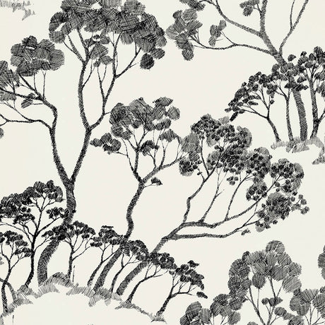 Schumacher Timber ! Black & White Wallpaper - Eade's Wallpaper