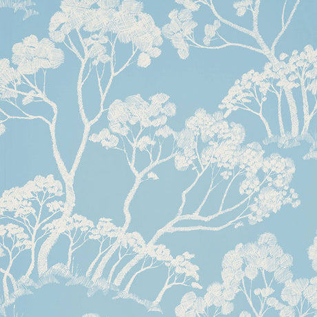 Schumacher Timber ! Cloud Wallpaper - Eade's Wallpaper