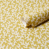 Schumacher Folly Mimosa Wallpaper