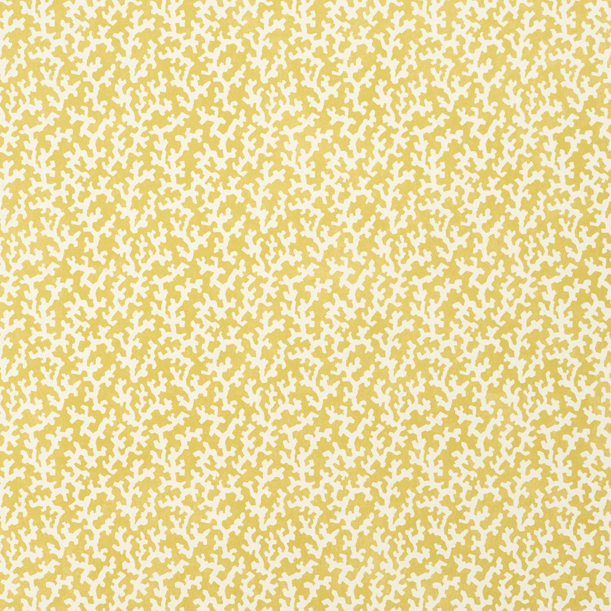 Schumacher Folly Mimosa Wallpaper