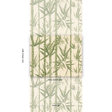 Schumacher Les Bambous Sisal Green Wallpaper - Eade's Wallpaper