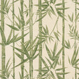 Schumacher Les Bambous Sisal Green Wallpaper - Eade's Wallpaper