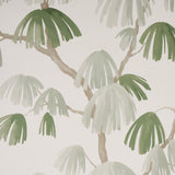 Schumacher Weeping Pine Sage Wallpaper