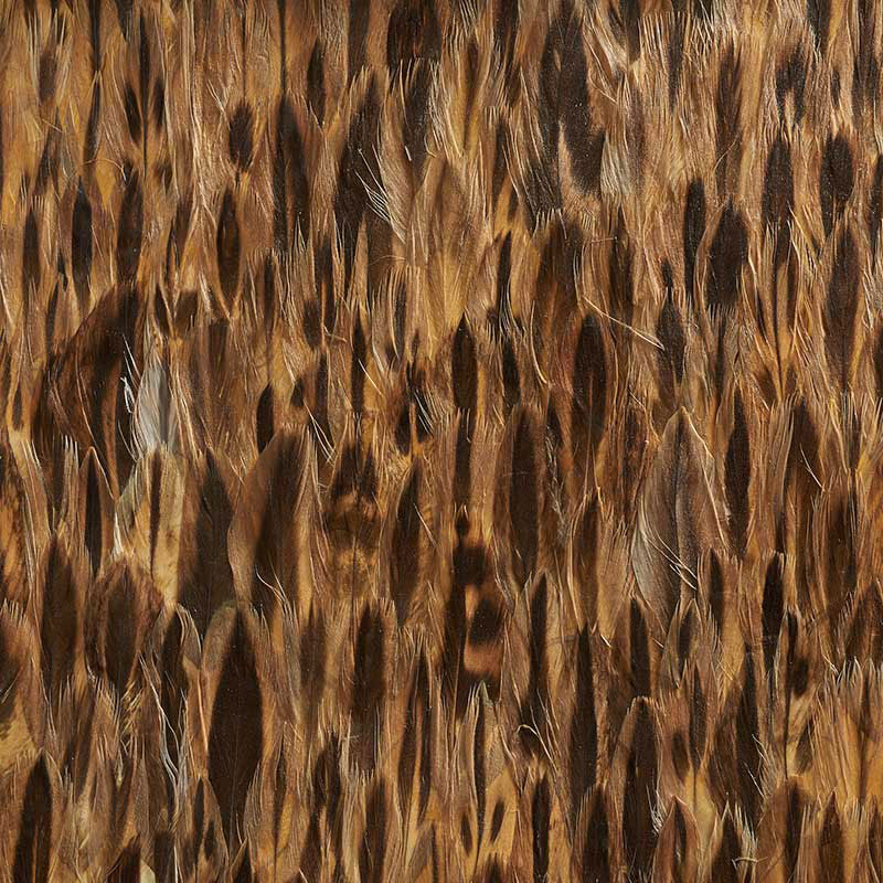 Schumacher 5008377 AMBER in COCO Wallpaper - PLUME