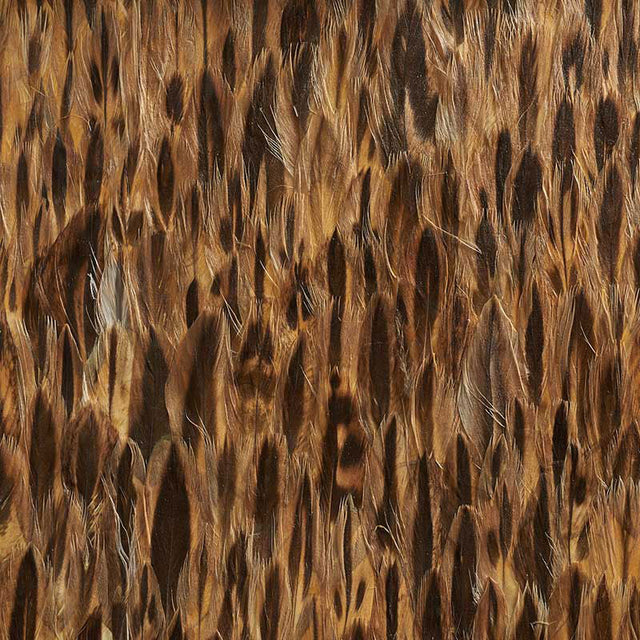 Schumacher 5008377 AMBER in COCO Wallpaper - PLUME