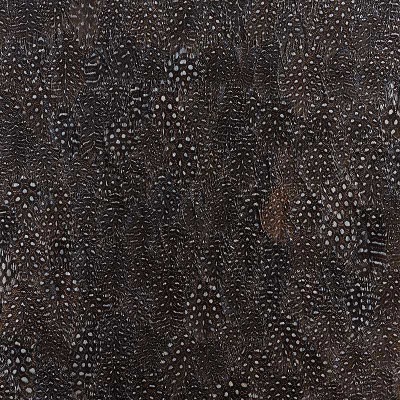 Schumacher 5008378 TITANIUM in BLACK & WHITE Wallpaper - PLU