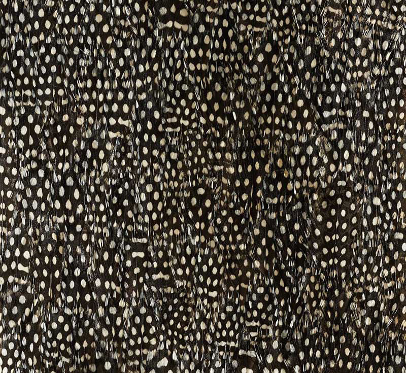 Schumacher 5008379 ZINC in BLACK & WHITE Wallpaper - PLUME