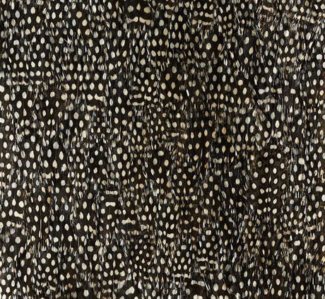 Schumacher 5008379 ZINC in BLACK & WHITE Wallpaper - PLUME