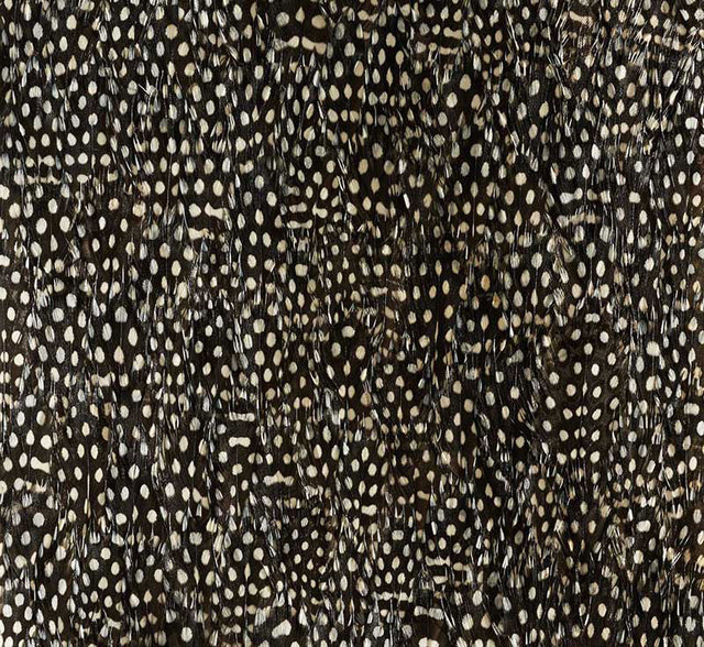 Schumacher 5008379 ZINC in BLACK & WHITE Wallpaper - PLUME