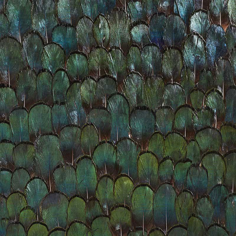 Schumacher 5008380 JADE in FOREST GREEN Wallpaper - PLUME
