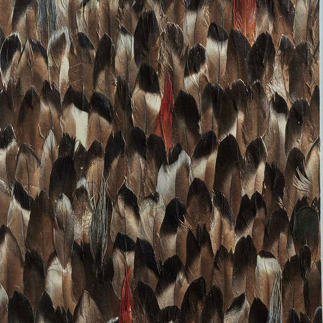 Schumacher 5008383 AVERLITE in BLACK SMOKE Wallpaper - PLUME