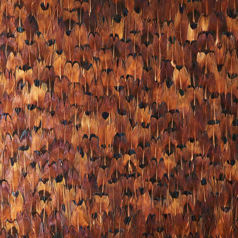 Schumacher 5008388 COPPER in CHOCOLATE Wallpaper - PLUME
