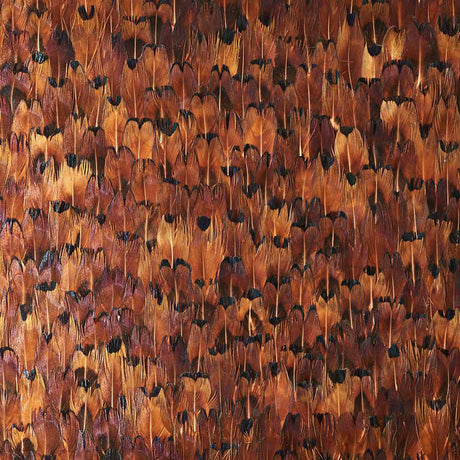 Schumacher 5008388 COPPER in CHOCOLATE Wallpaper - PLUME