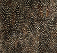 Schumacher 5008390 KRYPTON in BLACK PEARL Wallpaper - PLUME