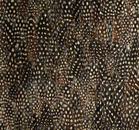 Schumacher 5008390 KRYPTON in BLACK PEARL Wallpaper - PLUME