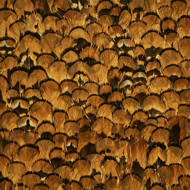 Schumacher 5008392 LIMONITE in APRICOT Wallpaper - PLUME