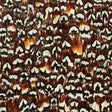 Schumacher 5008393 HEMATITE in COFFEE Wallpaper - PLUME