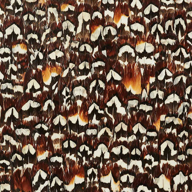 Schumacher 5008393 HEMATITE in COFFEE Wallpaper - PLUME
