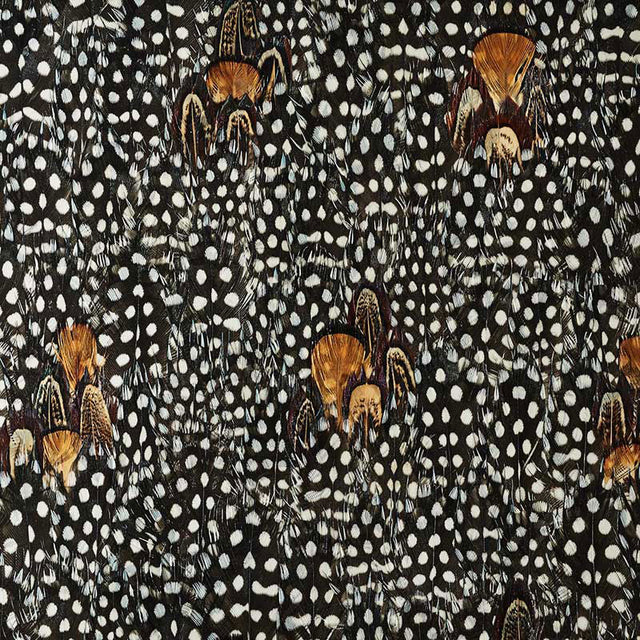 Schumacher 5008394 ARGENTITE in CORAL Wallpaper - PLUME