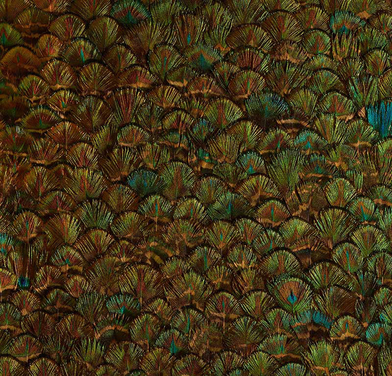 Schumacher 5008396 PERIDOT in EMERALD Wallpaper - PLUME