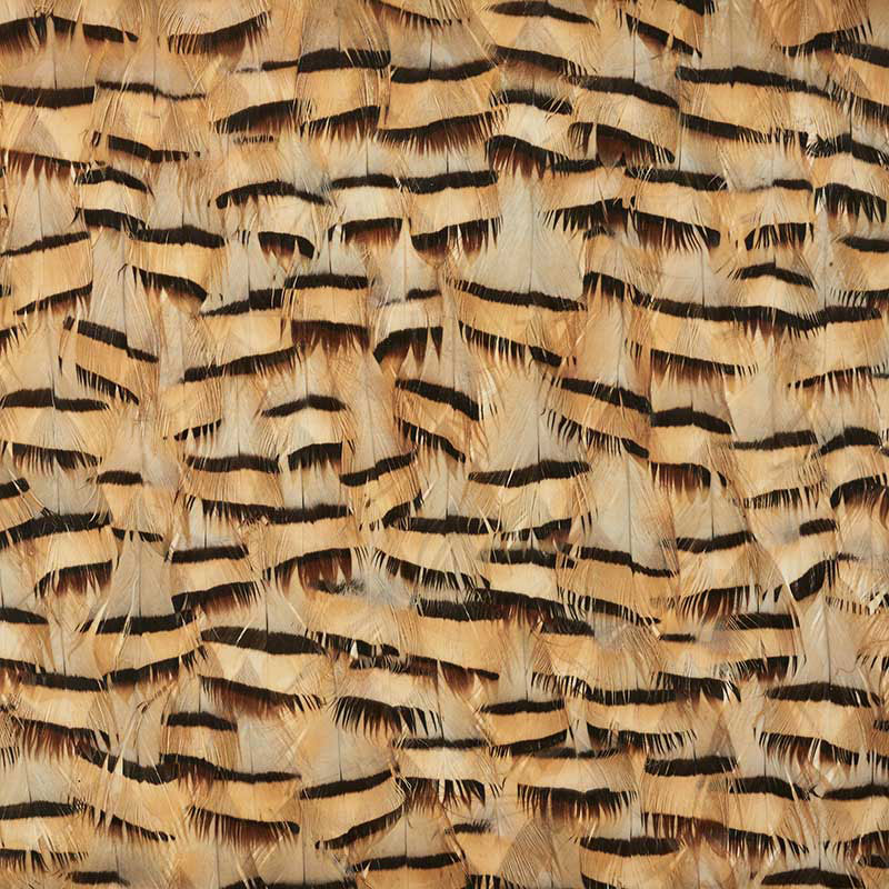 Schumacher 5008401 MUSCOVITE in CRACKER KHAKI Wallpaper - PL