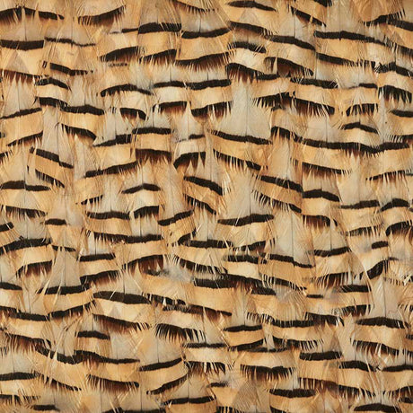 Schumacher 5008401 MUSCOVITE in CRACKER KHAKI Wallpaper - PL