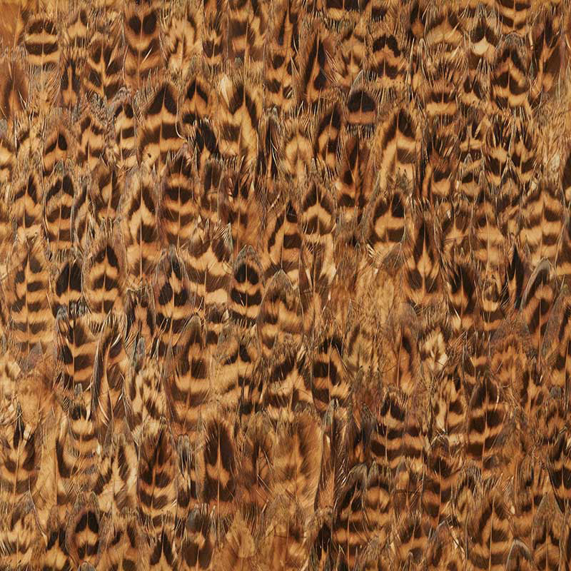 Schumacher 5008403 UMBER in DAFFOD Wallpaper - PLUME