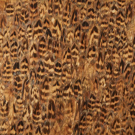 Schumacher 5008403 UMBER in DAFFOD Wallpaper - PLUME