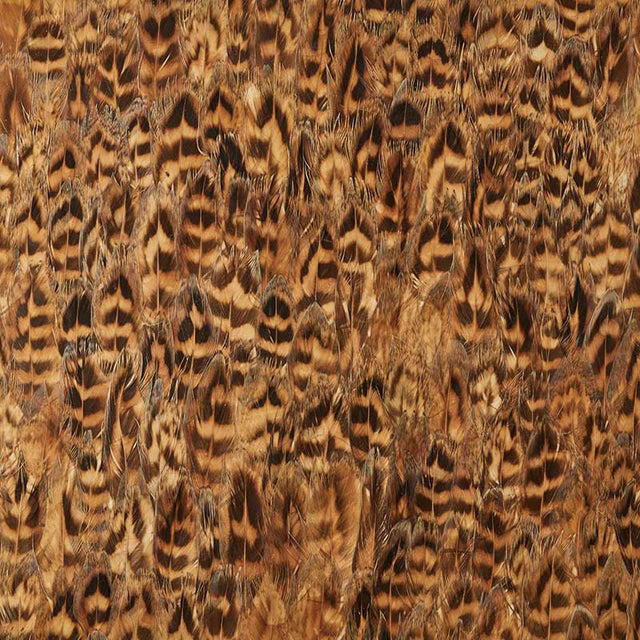 Schumacher 5008403 UMBER in DAFFOD Wallpaper - PLUME