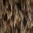 Schumacher 5008406 IRIDIUM in TAIL Wallpaper - PLUME