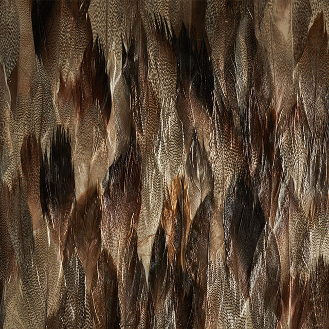 Schumacher 5008406 IRIDIUM in TAIL Wallpaper - PLUME