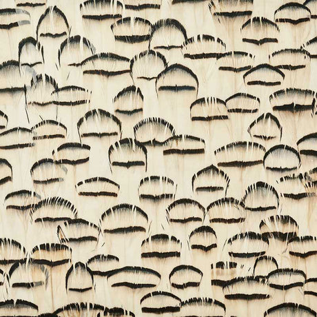 Schumacher 5008407 OPAL in WHITE Wallpaper - PLUME