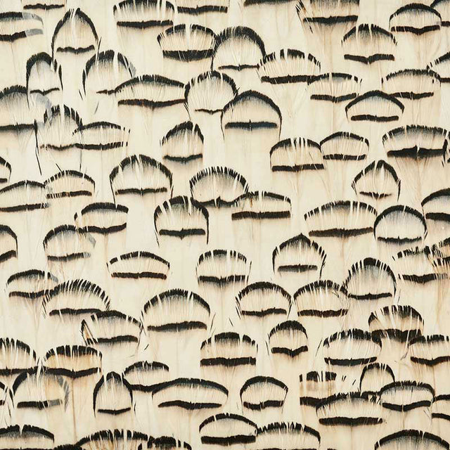 Schumacher 5008407 OPAL in WHITE Wallpaper - PLUME