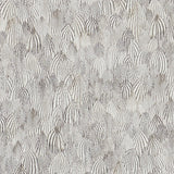 Schumacher Feathers Zebra Wallpaper