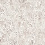 Schumacher Feathers Brown Wallpaper