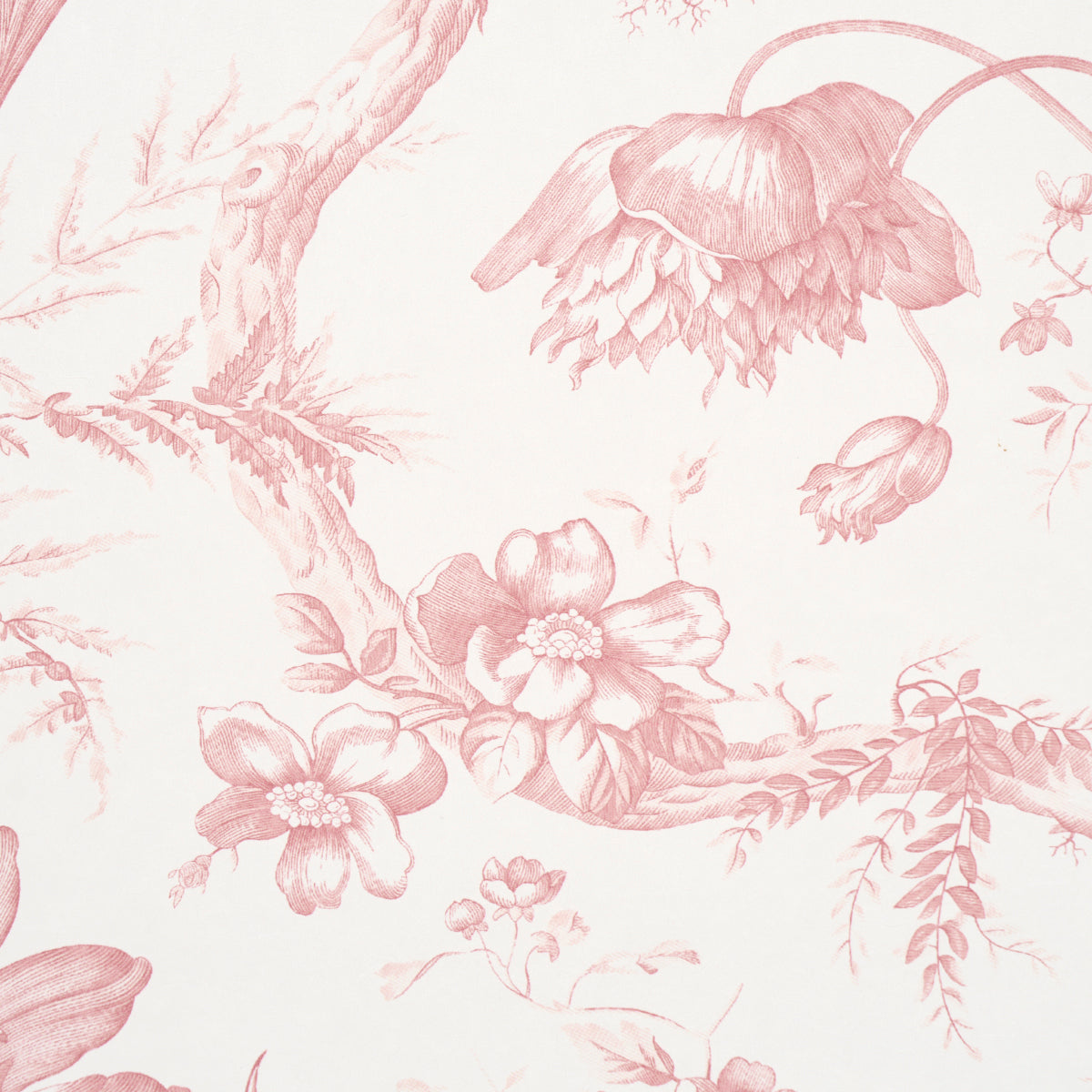 Schumacher 5009123 TOILE DE FLEURS in PINK Wallpaper - Eade