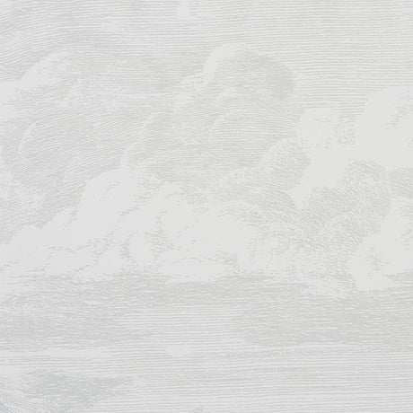 Schumacher Cloud Toile Quartz Wallpaper