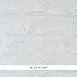 Schumacher Cloud Toile Mineral Wallpaper