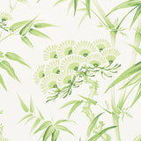 Eade’s LEAF