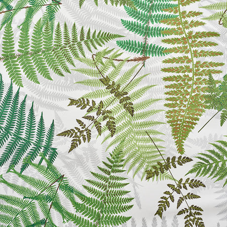 Eade’s IVORY & LEAF