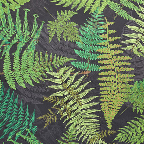 Eade’s BLACK & LEAF