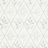 Schumacher Endimione Sky Wallpaper