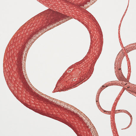 Schumacher Giove Ruby & Garnet Wallpaper