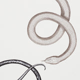 Schumacher Giove Agate & Onyx Wallpaper