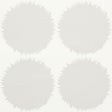 Eade’s GREY
