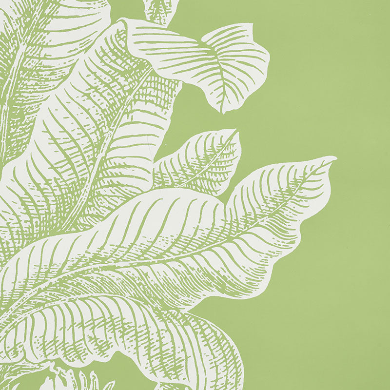 Eade’s LEAF