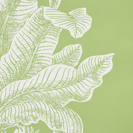 Eade’s LEAF